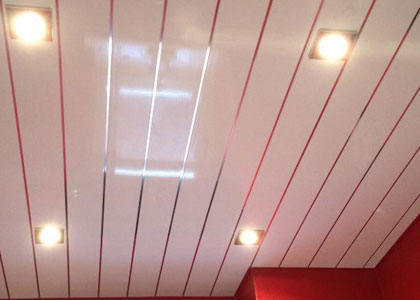 Bathroom Ceiling